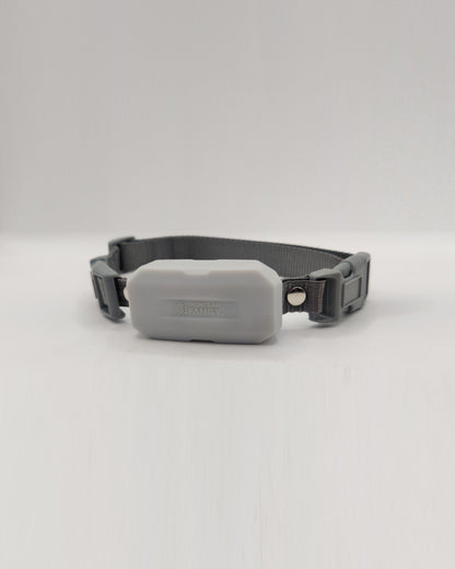 Grey dog collar featuring a compact tracking device